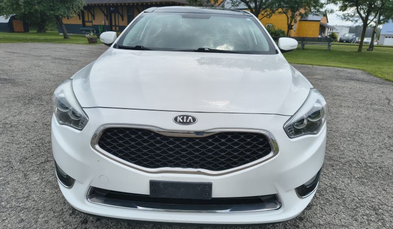 2014 Kia Cadenza full