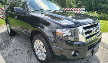 2013 Ford Expedition full