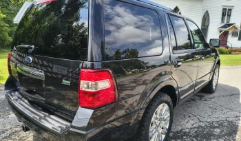 2013 Ford Expedition full