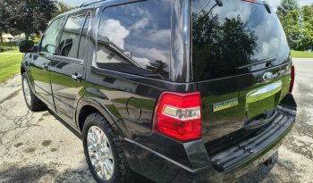 2013 Ford Expedition full