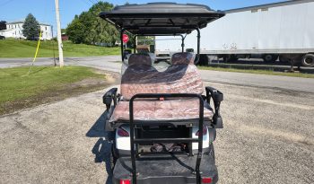 2026 Golf Cart – Brand NEW full