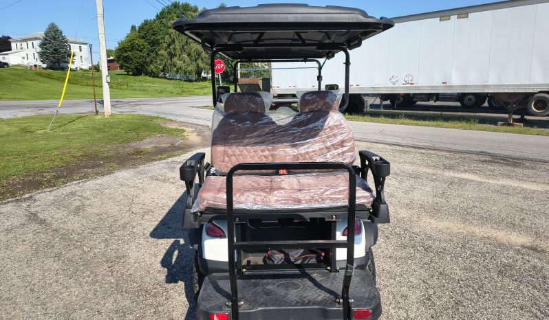 2026 Golf Cart – Brand NEW full