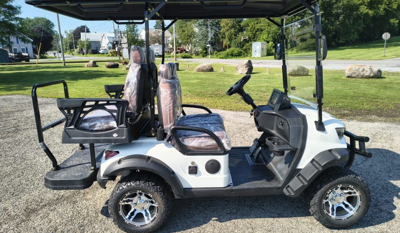 2026 Golf Cart – Brand NEW full