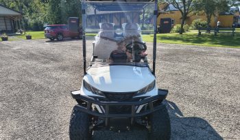 2026 Golf Cart – Brand NEW full
