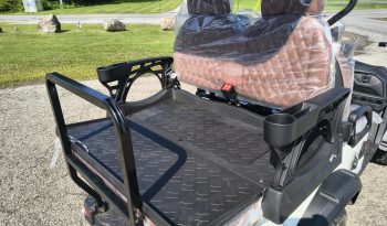 2026 Golf Cart – Brand NEW full