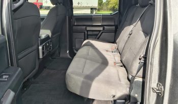 2020 Ford F-150 XLT Crew Cab full